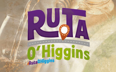 El Festival Fungiverso 2025 es parte de la «Ruta O’Higgins»
